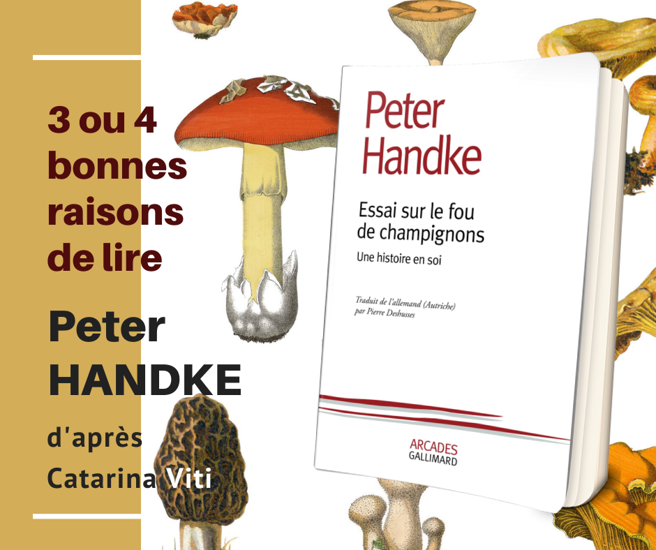 3 ou 4 bonnes raisons de lire « Essai sur le fou de champignons » de Peter Handke